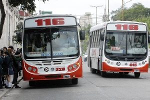 Transporte01
